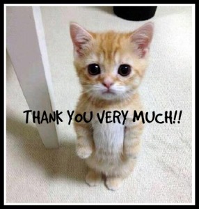 thank-you-kitty-286x300.jpg