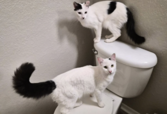“Rose and Mary” – BONDED 1 year old Siblings – fun and unique duo!