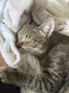Mitzi 